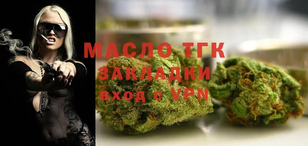 дживик Бородино