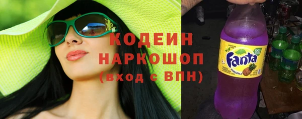 дживик Бородино
