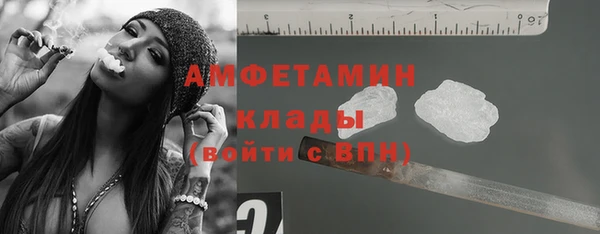 дживик Бородино
