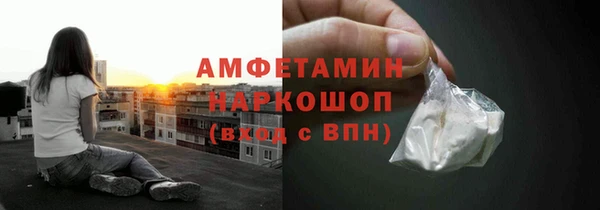 сатива Верея