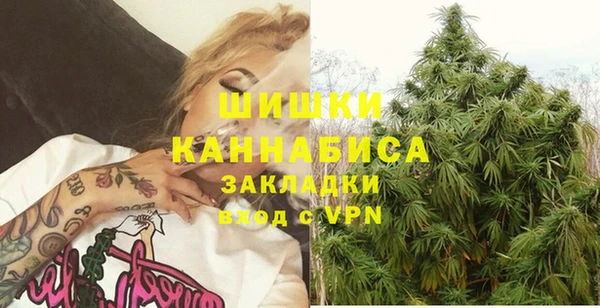 сатива Верея