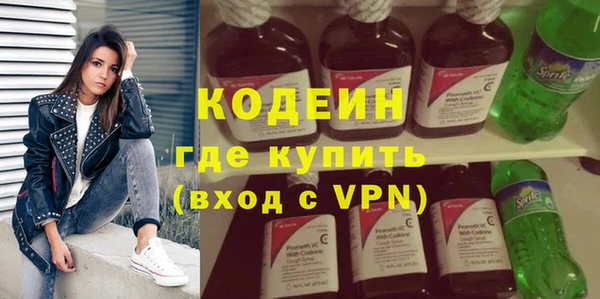 дживик Бородино