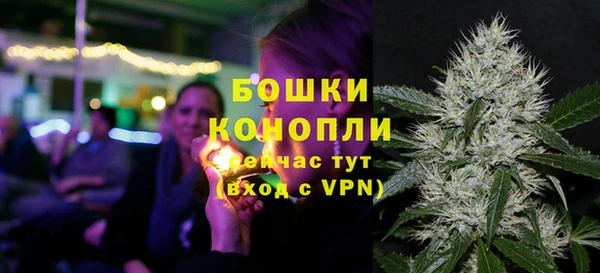 дживик Бородино