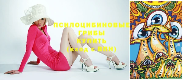 сатива Верея